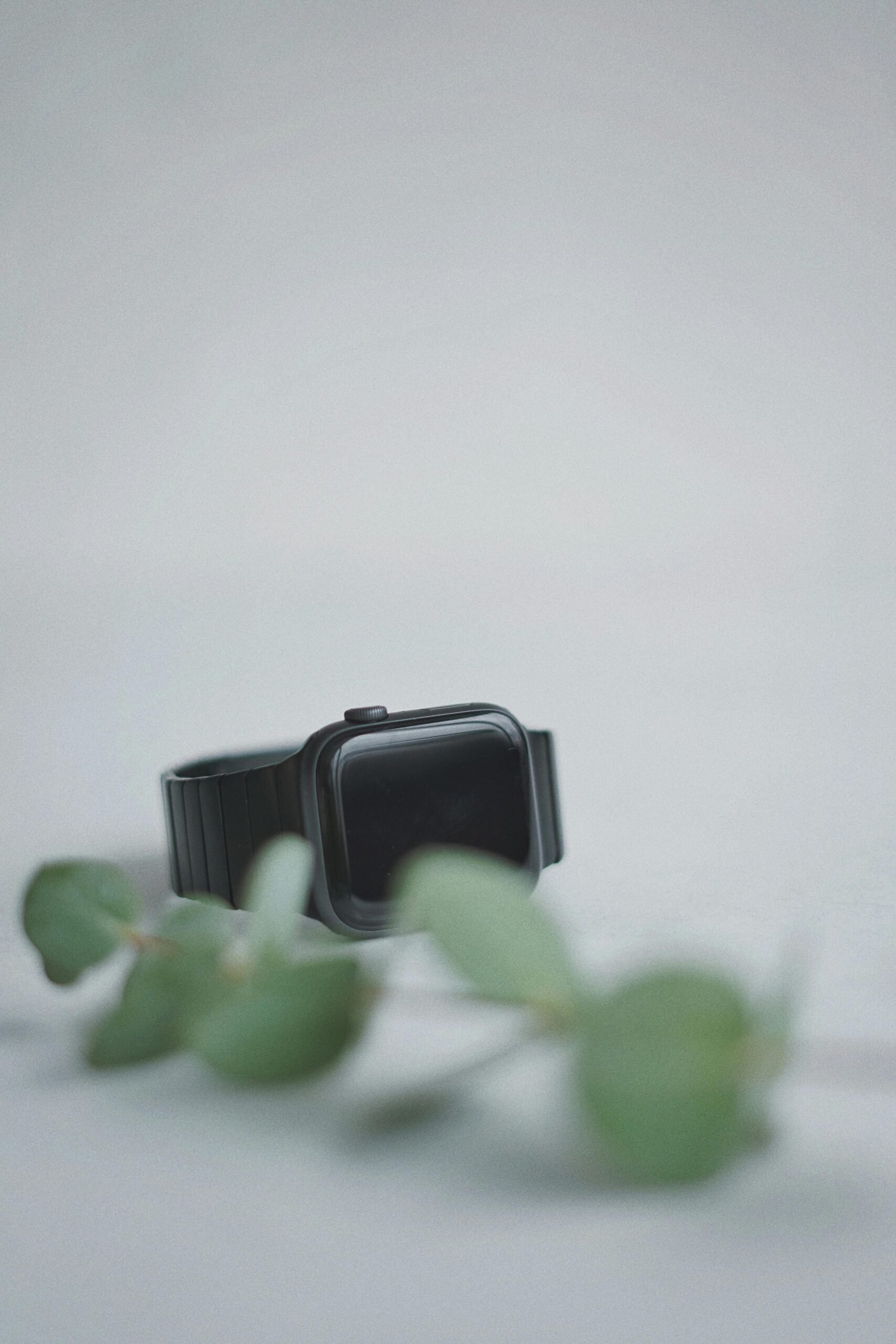 Sleek black smartwatch on a white background with green leaves, showcasing modern technology.